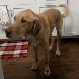 Meet your Posher, Andreas